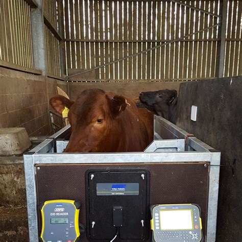 Precision Livestock Farming Sruc