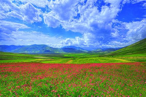 Fields Of Dreams Photograph By Midori Chan Fine Art America