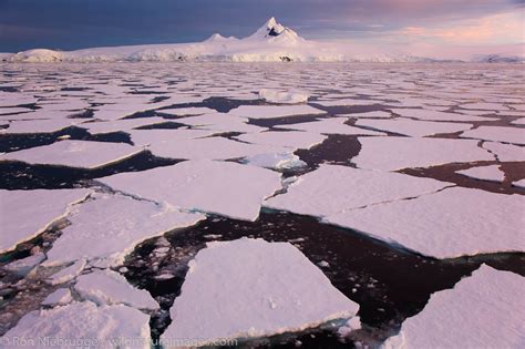 Antarctica Photos By Ron Niebrugge