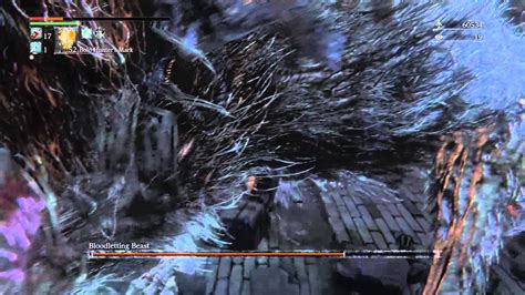 Bloodborne Chalice Boss Bloodletting Beast Guide YouTube