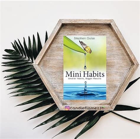 Mini Habits Smaller Habits Bigger Results Postersklo