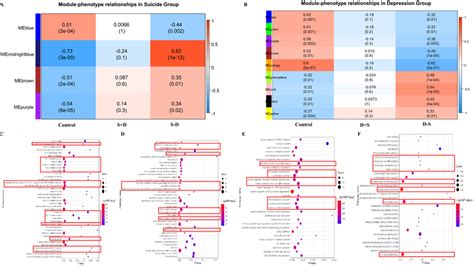 Module Trait Relationship Analysis With Wgcna And The Kegg Pathway