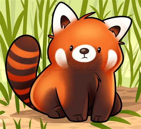 Red Panda Cute Cartoon Wallpapers Top Free Red Panda Cute Cartoon