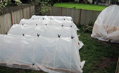 Best Greenhouse Plastic: Some Sturdy Solutions - Epic Gardening