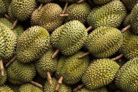 Jackfruit vs. Durian: What's The Difference? (With Photos!) | Live Eat Learn