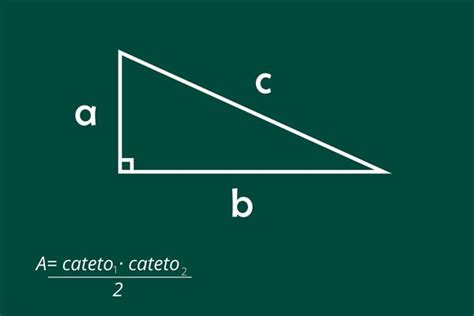 Como Calcular A Area De Um Triangulo Retangulo Exerci
