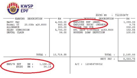 How To Check Epf Number Templates Sample Printables