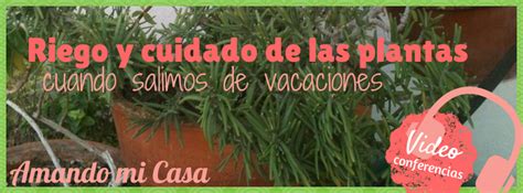 Riego Y Cuidado De Las Plantas Cuando Salimos De Vacaciones