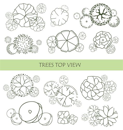 Tree For Architectural Floor Plans Entourage Design Various Trees