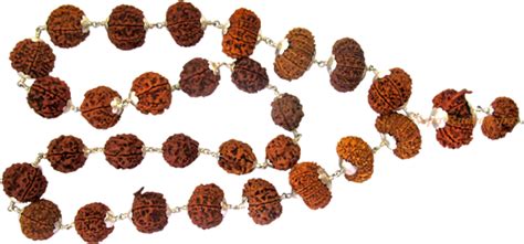 Download Chocolate Truffle - Full Size PNG Image - PNGkit