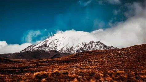 Some plants thrive in scorching hot volcanic soil -- at 72 °C (161 F)