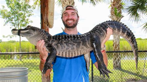 Hug A Baby Alligator Captain Jacks Airboat Tours