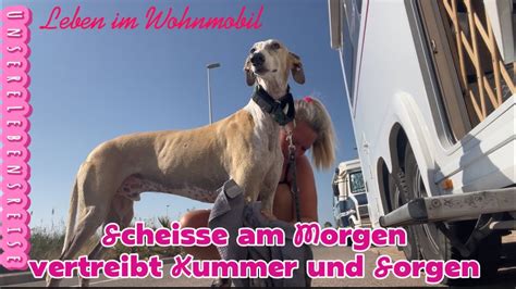 Wir Leben Vollzeit Im Wohnmobil Noch In Spanien Vlog Hunde