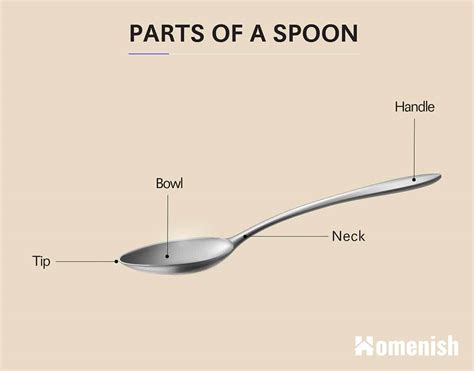 Parts Of A Spoon With Diagram Homenish