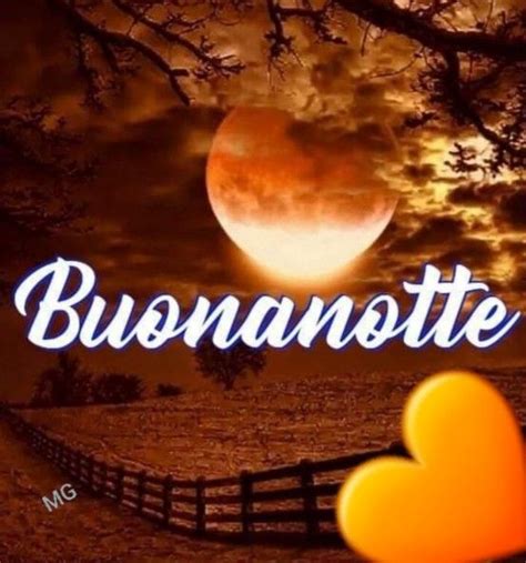 Pin Di Alessia Su Buongiorno E Buonanotte Buonanotte Buona Notte