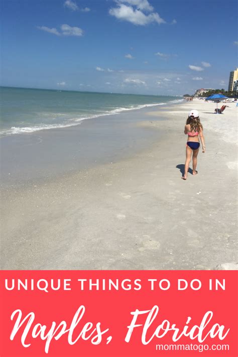 Things To Do In Naples Florida Artofit