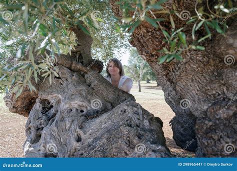 Woman Under Centuries Old Olive Tree Puglia Italy Stock Image Image