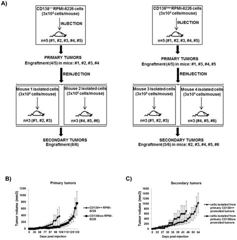 A Sorted Cd Rpmi Or Cd Low Rpmi Cells Were