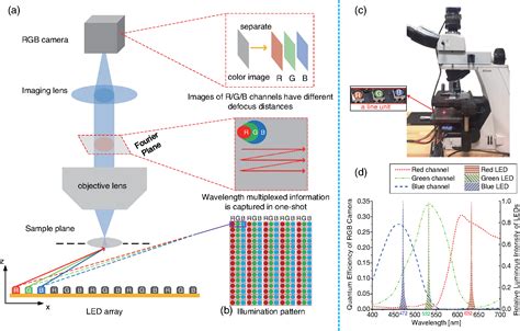 Fourier Ptychographic Microscopy Using Wavelength Multiplexing