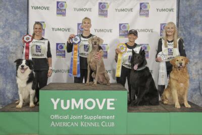 Meet The 2024 AKC National Agility Championship Winners