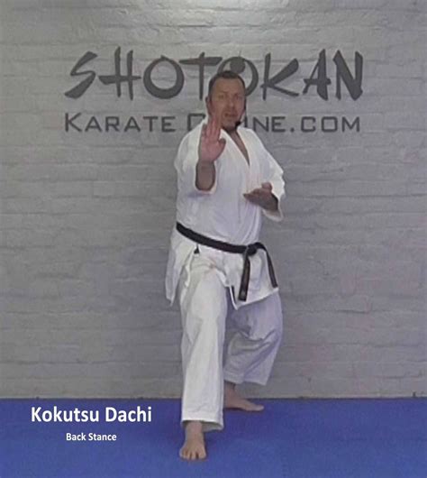 Shotokan Karate Stances Kokutsu Dachi (Back Stance) – Zanshin Black Belt Academy