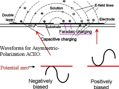 Color Online Signal Application For Asymmetric Polarization Ac