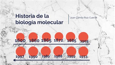 Línea De Tiempo De La Historia De La Biología Molecular By Camilo Ruiz