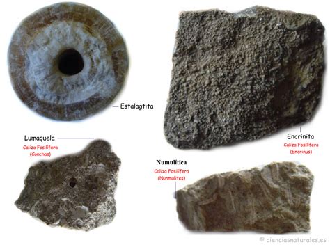 Clasificación De Rocas De José Antonio Borreguero Rolo