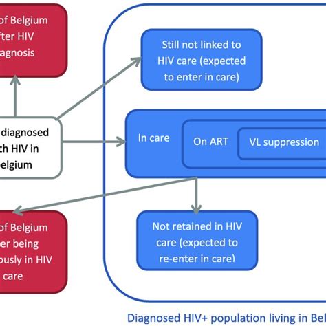 Diagram Representing The Distribution Of The Hiv Diagnosed Population