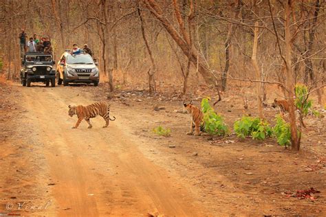 Isuzu MU-X goes to the Tipeshwar wildlife sanctuary - Page 2 - Team-BHP