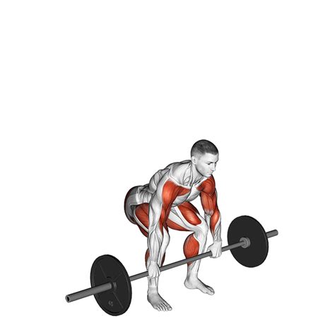 Power Clean Vs Squat Clean Benefits Mechanics And More Inspire Us