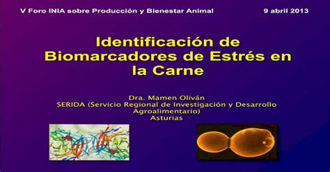 Identificación De Biomarcadores De Estrés En La Carne · La Carne Dra