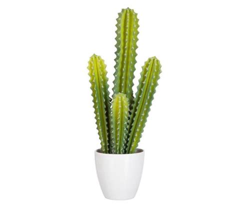 Plante Artificielle En Pot Cactus 50cm Vert Et Blanc Plante