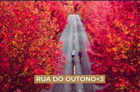 Conhe A A Rua Do Outono Considerada A Mais Instagram Vel De Curitiba