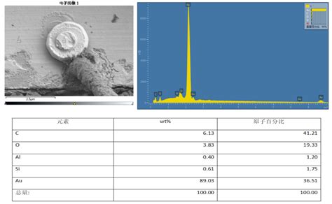 EDS分析 元素分析和能谱分析方法 EDS能谱结果分析 广东省华南检测技术有限公司