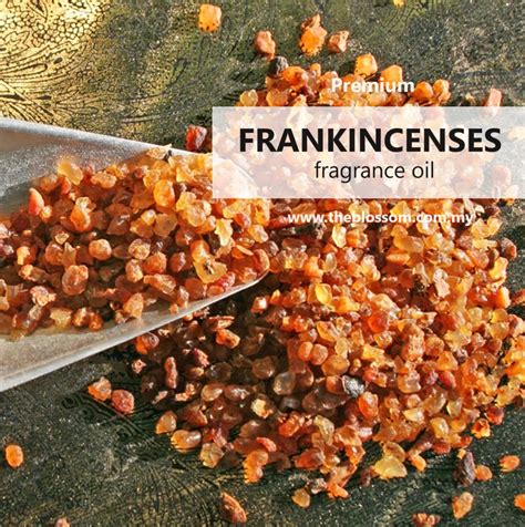 Frankincense Fragrance Oil The Blossom