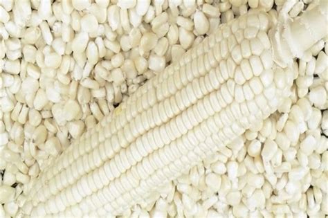 Buy Grade White Corn Non Gmo White Maize From Jaruwan Tanzania