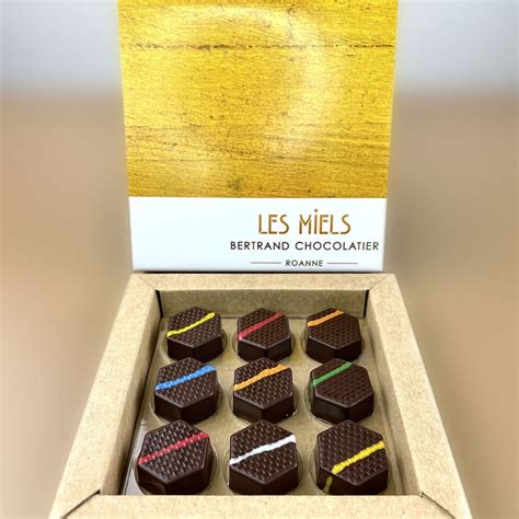 Bertrand Chocolatier Assortiment Ganache Chocolat Noir Miel 81g 9