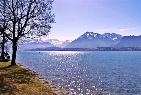 Lake Thun Sunny Day Park Free Photo On Pixabay