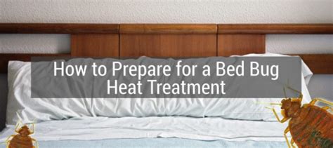 How to Prepare for a Bed Bug Heat Treatment