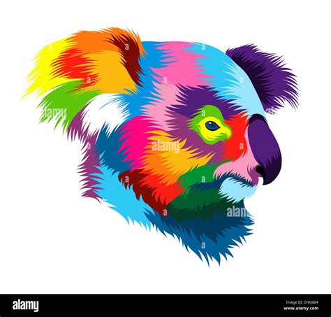 Abstract Koala Head Portrait From Multicolored Paints Colored Drawing