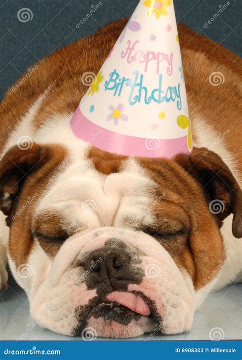 Happy Birthday Bulldog Images