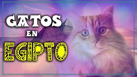 ¿por Qué Los Egipcios Adoraban A Los Gatos Curiosidades Del Antiguo