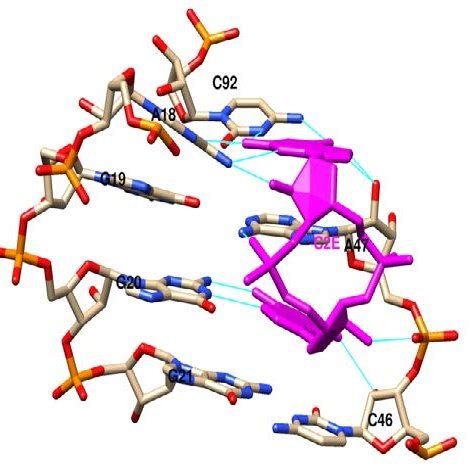 Secondary And Tertiary Structures Of C Di GMP I Riboswitch A