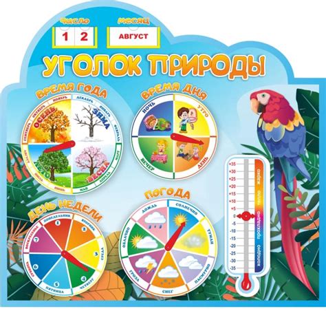 Календарь природы с попугаем на ветке - Topdekor.by
