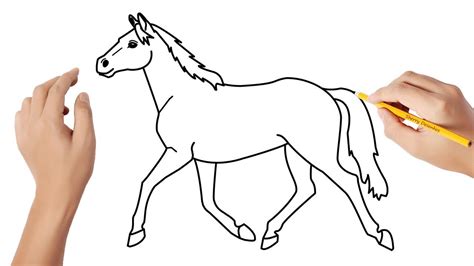 Passo A Passo De Como Desenhar Um Cavalo Desenhe A Cabe A Do Cavalo