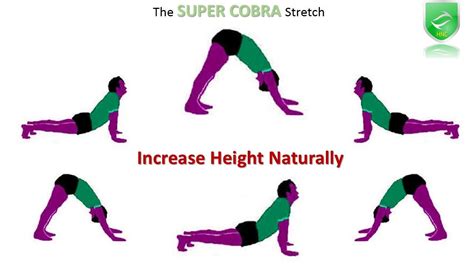 How To Grow Tall Increase Height Exercise Super Cobra Stretch