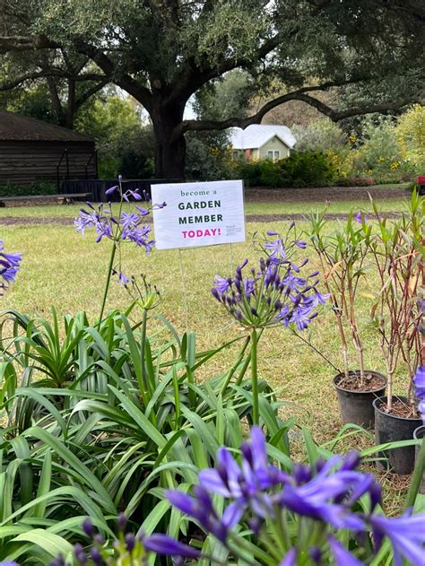 Botanic Garden's Fall Plant Sale is this weekend - Grice Connect