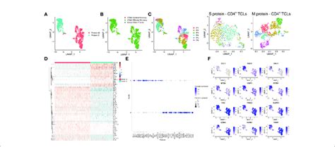 Single Cell Transcriptional Profiling Of SARS CoV 2 Spike S And