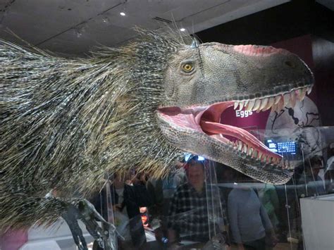 The Top 10 Weird Dinosaurs